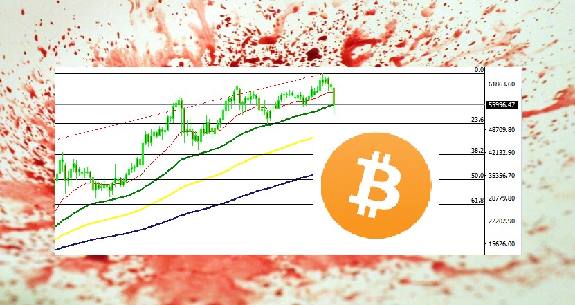 Bitcoin crash - $8K price fall
